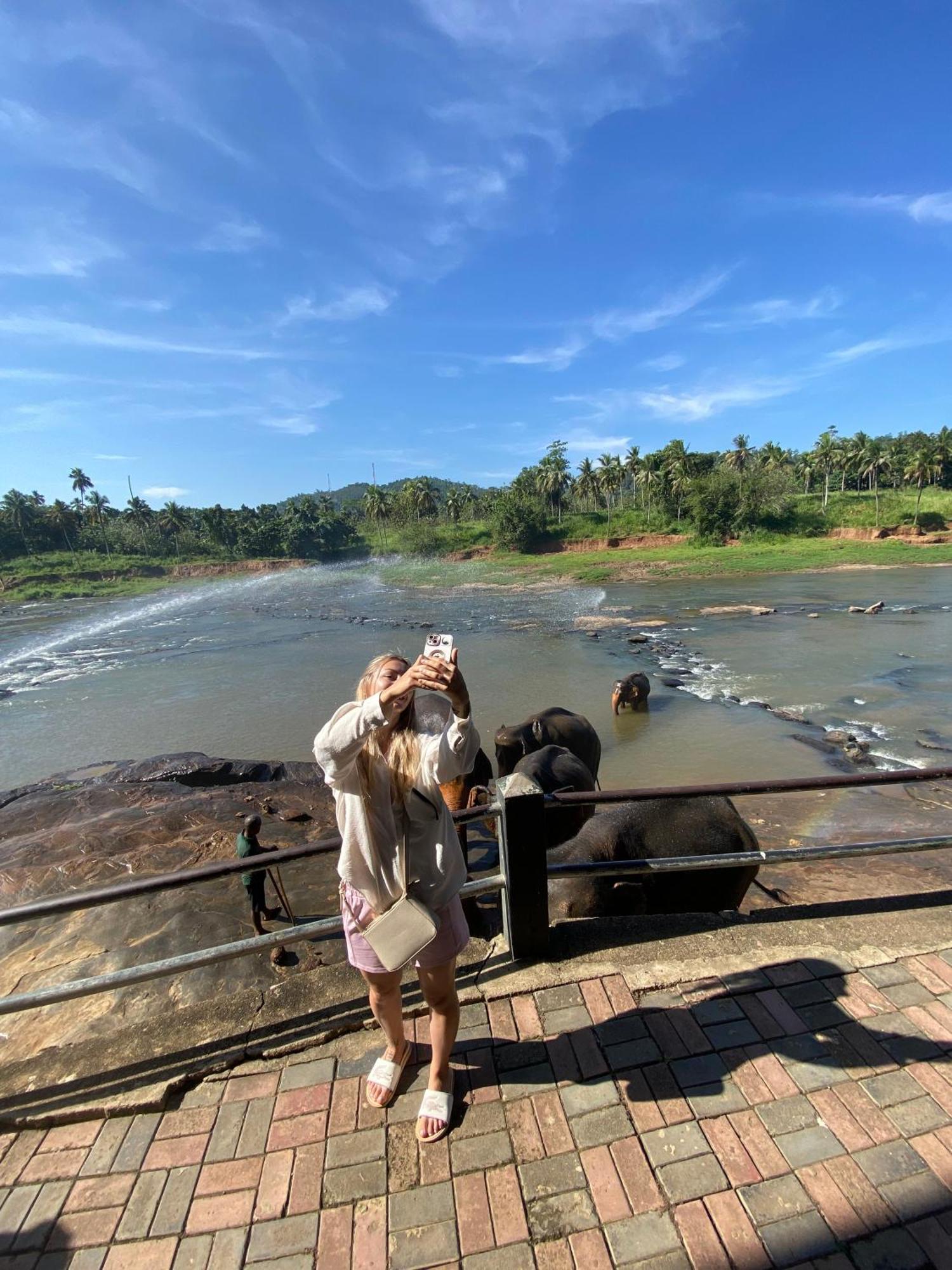 Elepath Lodge- Pinnawala Pinnawala  Luaran gambar